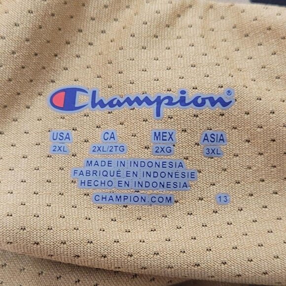 Champion Leopard Print Tennis Skirt 2XL | High Waisted Activewear | Plus Size Sk - Picture 3 of 5